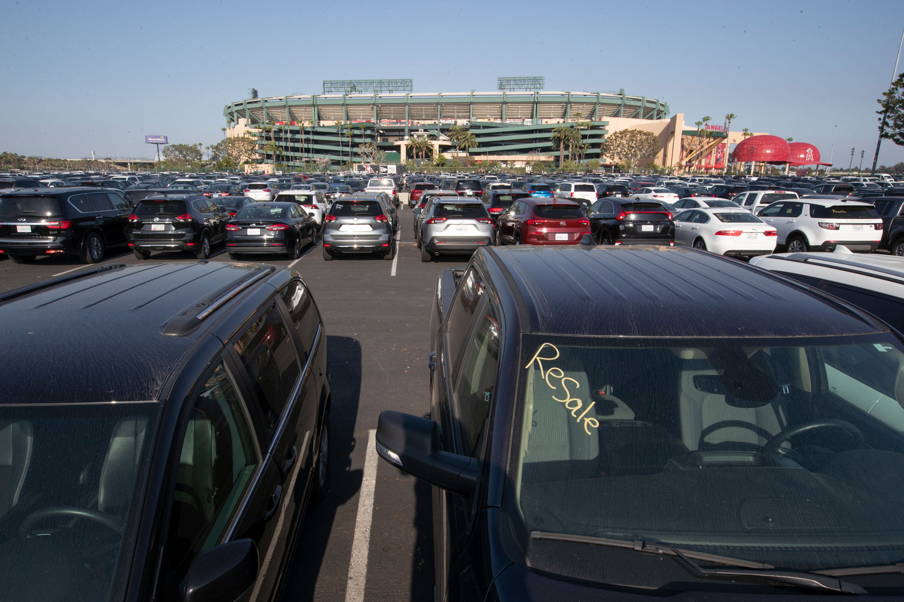 Parked rental cars